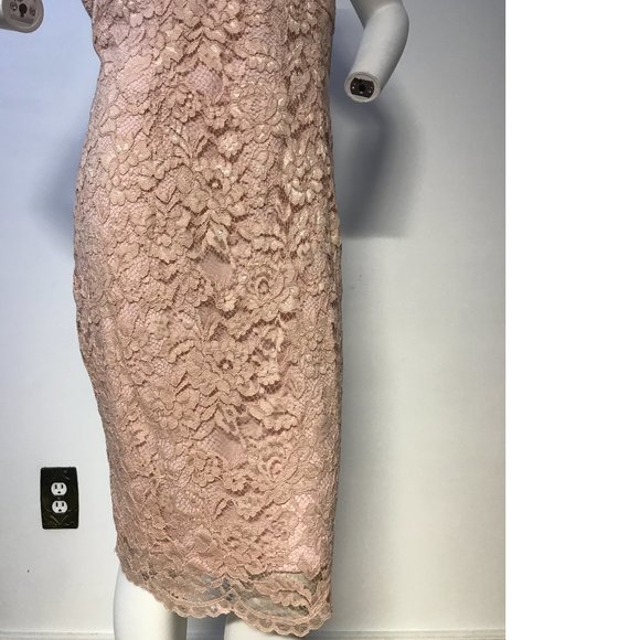 NWT Le Chateau PLUS SIZE Blush Peach Salmon Pink Sheer Floral Mesh Bodycon dress - Picture 4 of 5